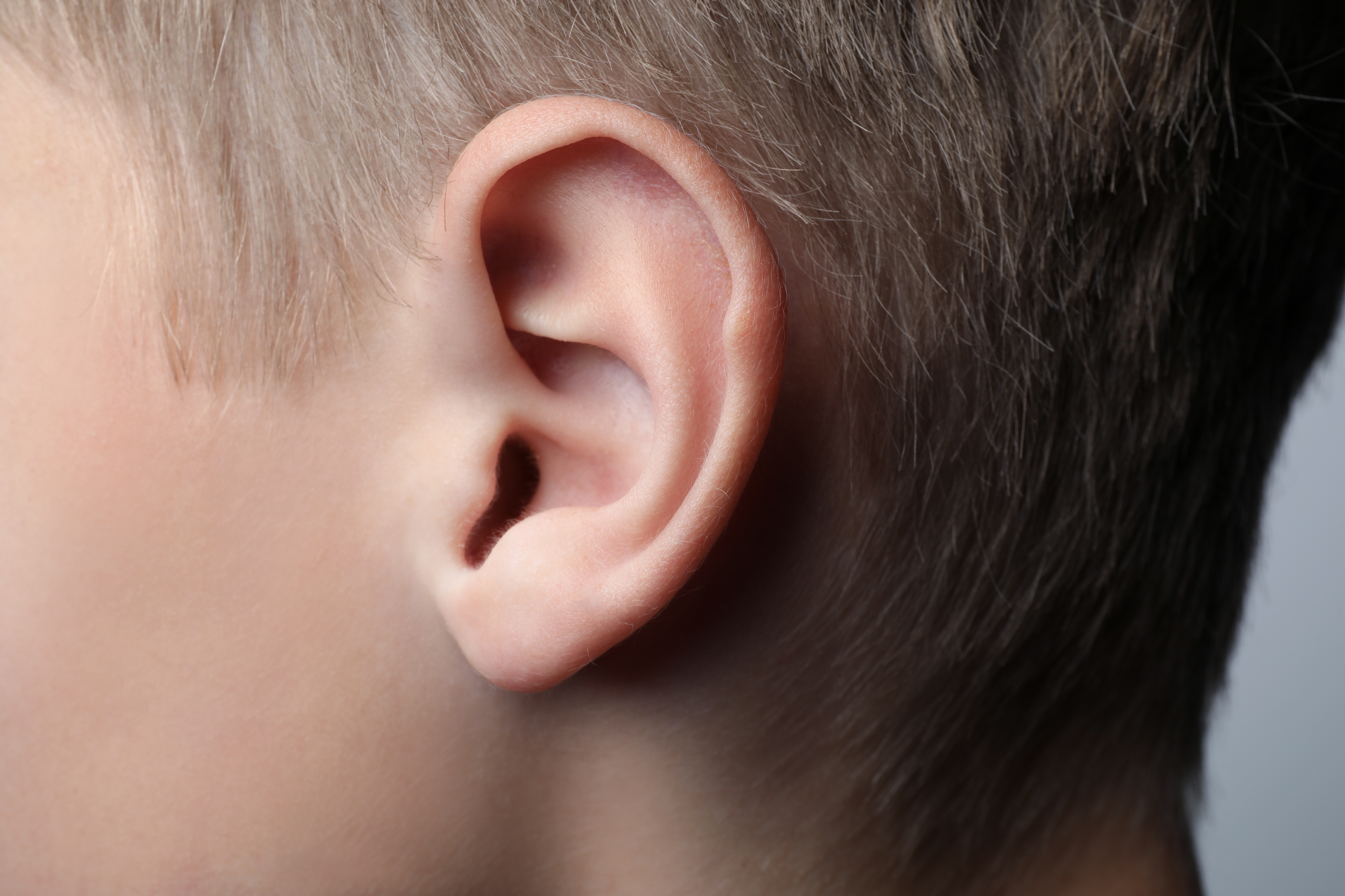 Otoplastie — gros plan sur une oreille, Dr Alexandra Tudosa chirurgien plasticien Saint-Omer